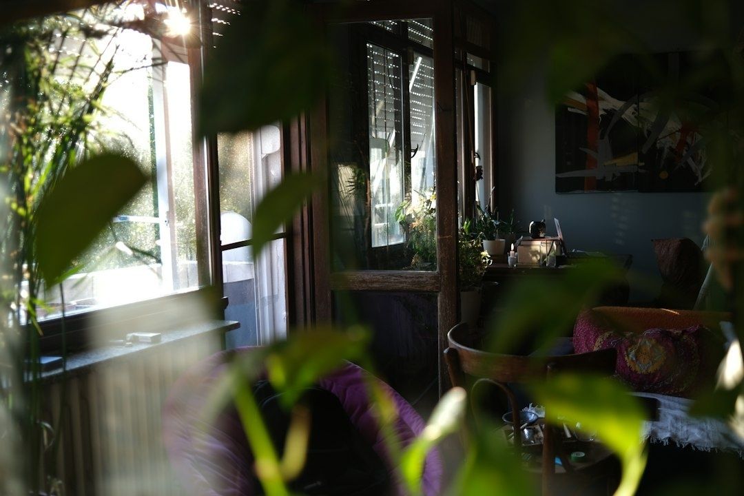 Sunlit living room viewed through leafy houseplants and open windows